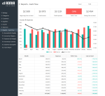 Business Finance Management Template - Reports