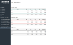 Business Finance Management Template -Taxes Report