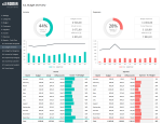 Complete Business Finance Management Template - Budget Overview