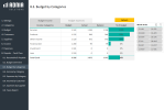 Complete Business Finance Management Template - Budget Income Category