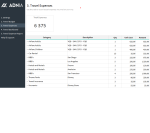 Travel Budget Planning Template - Expenses