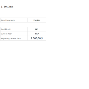 Cash Flow Management Template - Settings