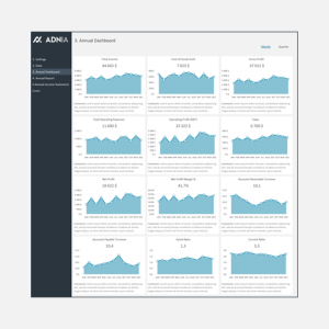 Annual Financial Report Template - Cover