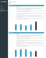 Yearly Comparison Report Template - Report View 2