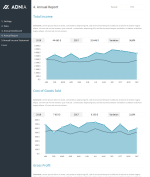 Annual Financial Report Template - Annual Report