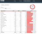 Yearly Budget vs Actual Expenses Template