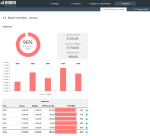 Yearly Budget vs Actual Expenses Template