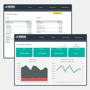 Net Worth Analysis Template