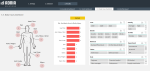 HSE Incident Trend Analysis Body - Injury Dashboard