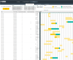 Gantt Chart Report